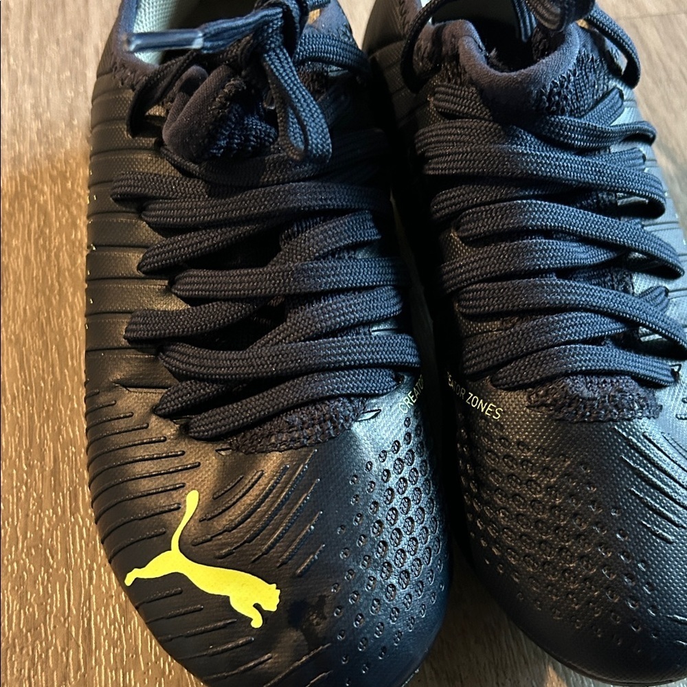 Puma with Vibrant Yellow Accents - Picture 2 of 8